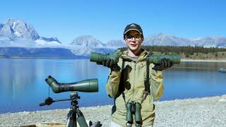 SWAROVSKI OPTIK AT / ST Balance Spotting Scopes - Optics4Birding