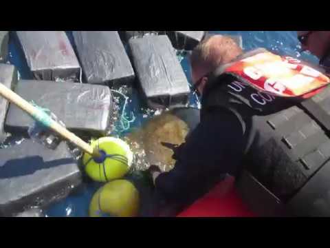 US Coast Guard frees sea turtle trapped in 7 Tons of cocaine bales