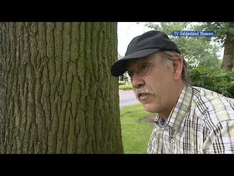 GLD Nieuws 11 augustus 2011 - Nieuws