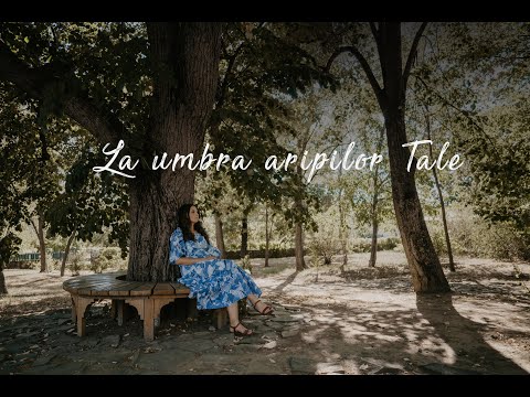 La umbra aripilor Tale - Deea