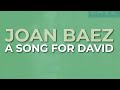 Joan Baez - A Song For David (Official Audio)