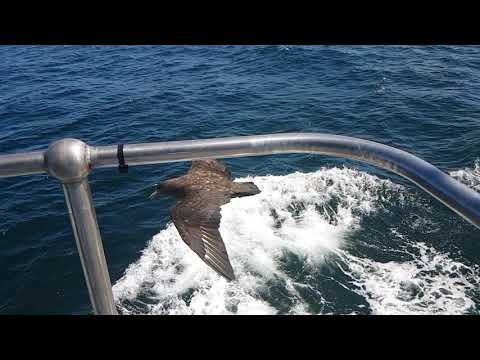 A day in the office.