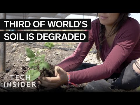 這些志願者是如何對抗水土流失的？ (How These Volunteers Are Fighting Soil Erosion)