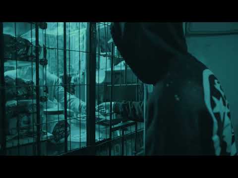 SHING SHING - JORGE TOMÁS