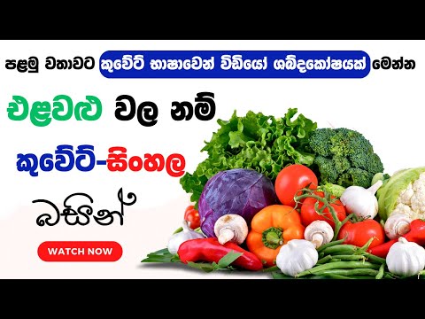 Learn Vegetable names in Arabic | Kuwait Language