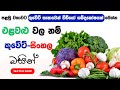 Learn Vegetable Names In Arabic Kuwait Language