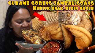 Download lagu FRIED GORAME WITH NATURAL SAMBAL GOANG mp3 Download lagu FRIED GORAME WITH NATURAL SAMBAL GOANG mp3