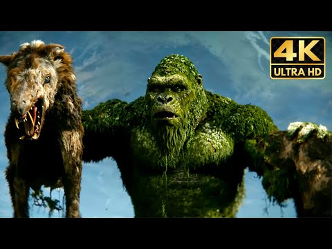 King Kong chased by a Pack Scene 4K Full Scene (2024) Godzilla x Kong Movie