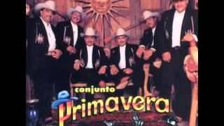 Conjunto Primavera Disco completo Me nacio del alma  1996