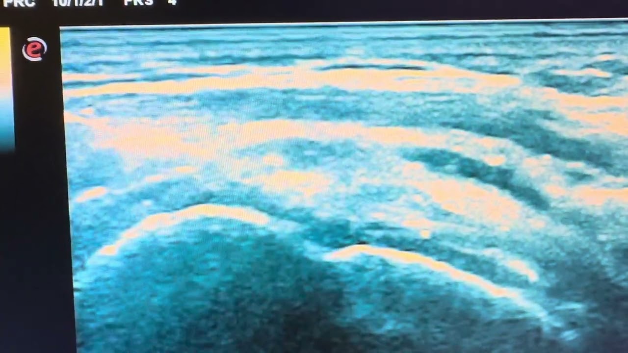 Roberto-Paolo Zambelli-34