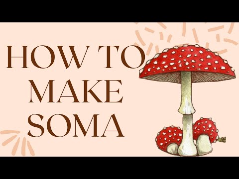 Rig Veda's Historic Soma