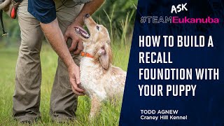 Todd Agnew - Building a Recall Foundation in Puppies