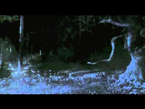 The Spectors - Femme Fatale (summer version)