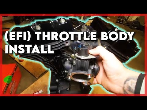 HARLEY-DAVIDSON MOTOR & (EFI) THROTTLE BODY INSTALL