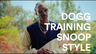 Petco If Snoop Dogg Was in Charge of Dog Training