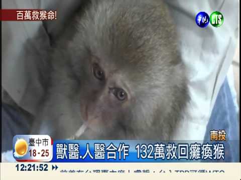 遭毆打昏迷 132萬救回癱瘓獼猴