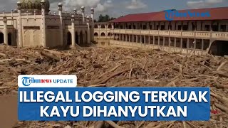 Terkuak! Bareskrim Bongkar Illegal Logging Sistem Panglong di Hulu Sungai Tamiang, Kayu Dihanyutkan