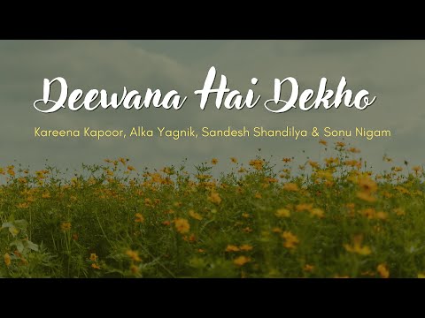Deewana Hai Dekho (LYRICS) |  Kareena K | Alka Y |  Sandesh Shandilya |  Sonu N | Shah R K | Kajol
