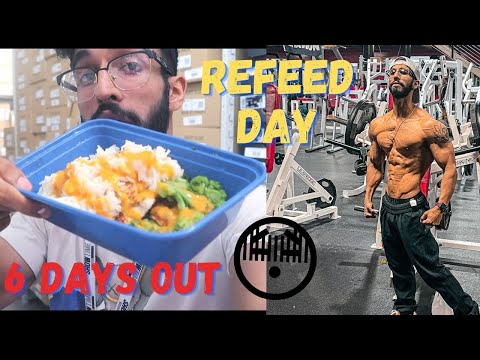 MINI REFEED 6 DAYS OUT