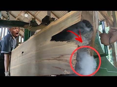 The mystery of the large old teak wood with an unexpected hole when sawed at the sawmill