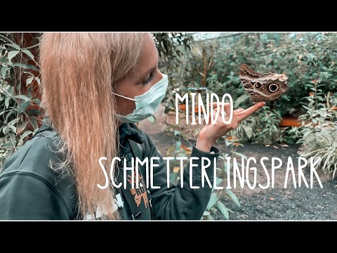 Schmetterlingspark Mindo und Anreise auf die Galapagosinseln Familie auf Weltreise w. Corona Vlog 56