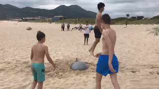 Video completo: el campamento del Colegio Seminario Menor en imágenes