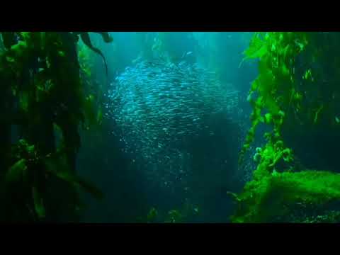 this 1 verse mentions 6 life changing things/ Mufti Menk #mufti_menk