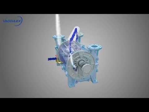 Vacculex​ Liquid Ring Vacuum Pump