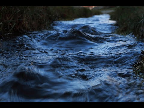 7.zapas Pardubice -Kometa