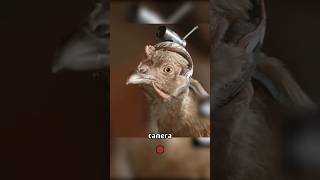 Video thumbnail image