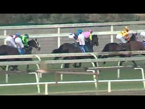 2015.04.25 Gold Bowl (RSA) - J's Outsider