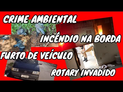 CRIME AMBIENTAL/INCÊNDIO EM BORDA DA MATA/FURTO DE UNO/ROTARY OURO FINO INVADIDO