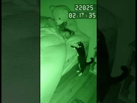 Was she POSSESSED? (Watch MY cat's reaction) #horror #scary #paranormal #poltergeist #foundfootage