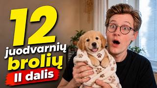 Dvylika brolių juodvarnių | PASAKA visiems apie pasiaukojimą (2 dalis)