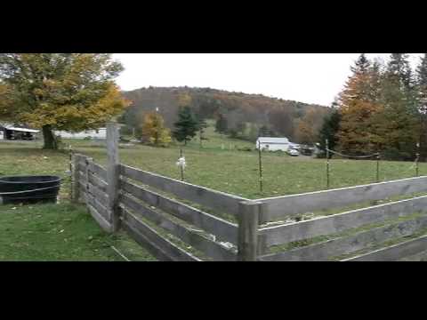 MLS# 191229- 722 Anderson Hill Road Candor, NY