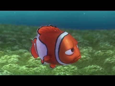 The Little Moonflower Part 15 - A Tour of the Kingdom