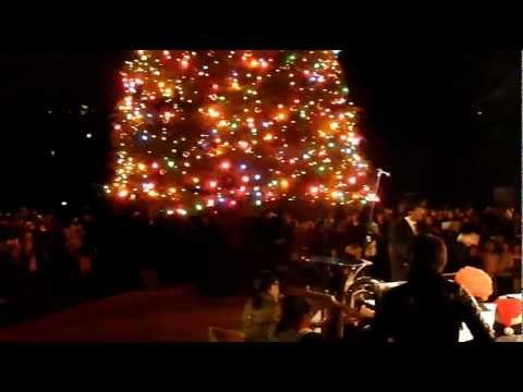 政治経済学科 2011聖学院大学クリスマスツリー点火祭（11/30）