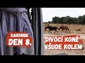 Divocí koně a absolutní ráj | Obytnou dodávkou na Sardinii, den 8.