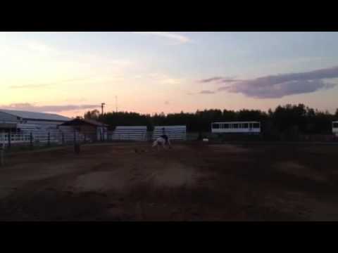 Fun on Fred Boyle ABRA