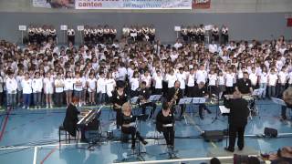 Rosa Joana i les set magnífiques