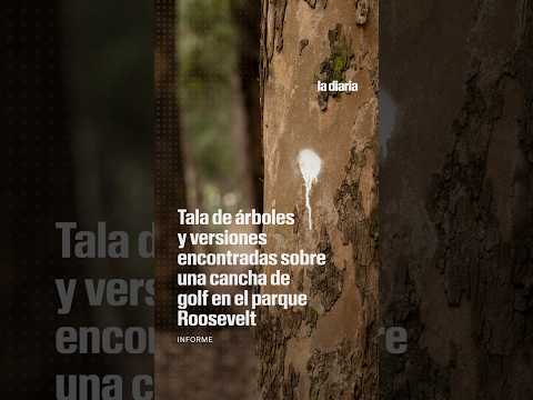 Tala de árboles y versiones encontradas sobre una cancha de golf en el parque Roosevelt