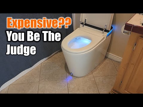 The most Expensive Toilet I have Ever Installed  The Horow T38P