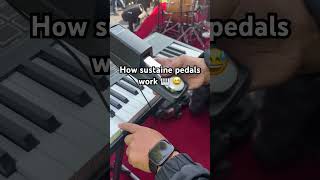 How keyboard 🎹 sustain pedals work 😆😆