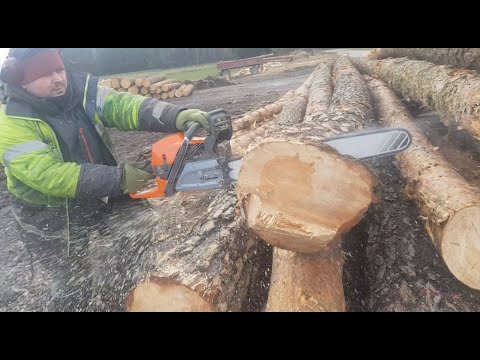 Tartak w Idźkach Młynowskich pod Sokołami - piła Husqvarna 592xp oraz Husqvarna 346xp NE. #2