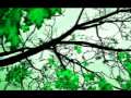 Perry Blake - Widows by the radio 