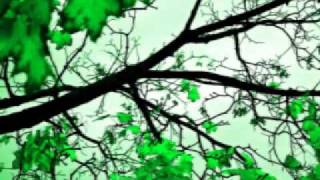 Perry Blake - Widows by the radio