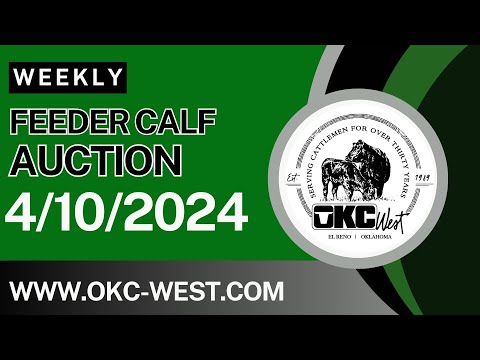 4/10/2024 - Feeder Calf Auction - OKC West