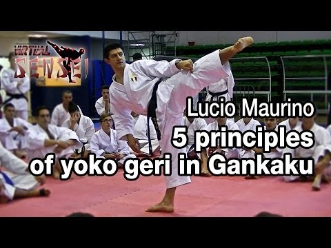 Lucio Maurino - 5 principles of yoko geri in Gankaku - Karate All Stars 2013