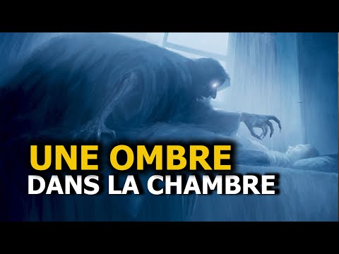 UNE OMBRE DANS LA CHAMBRE... HISTOIRE MYSTIQUE - DMG TV