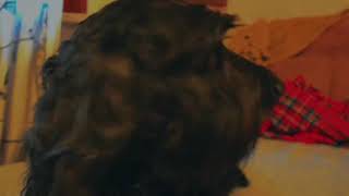 Comfort me - Sparklehorse